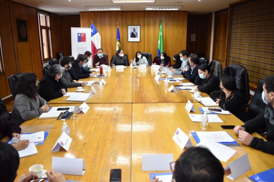 DELEGADO PARTICIPA DE GABINETE REGIONAL CONVOCADO POR DELEGADA PRESIDENCIAL REGIONAL