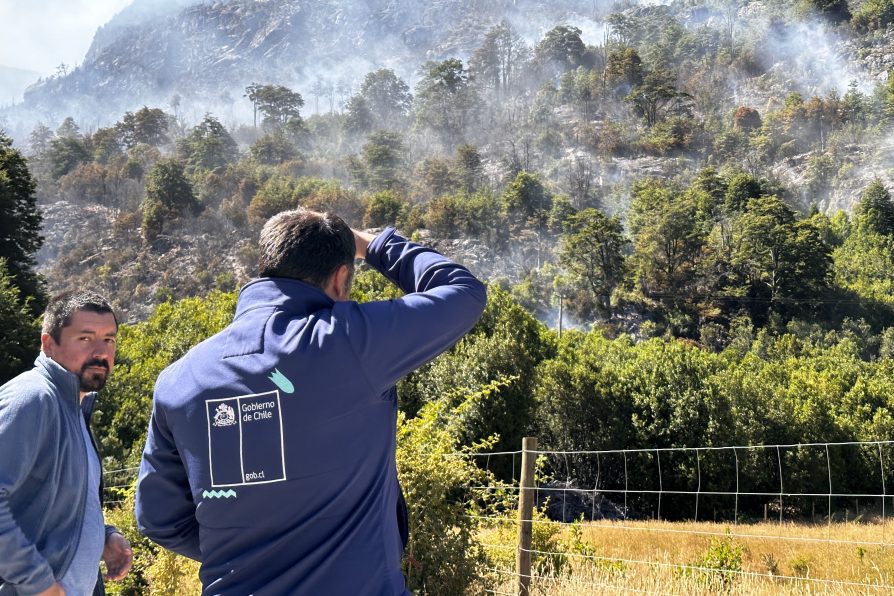 <strong>POR INCENDIO FORESTAL SE DECLARÓ ALERTA ROJA EN LA COMUNA DE PALENA</strong>