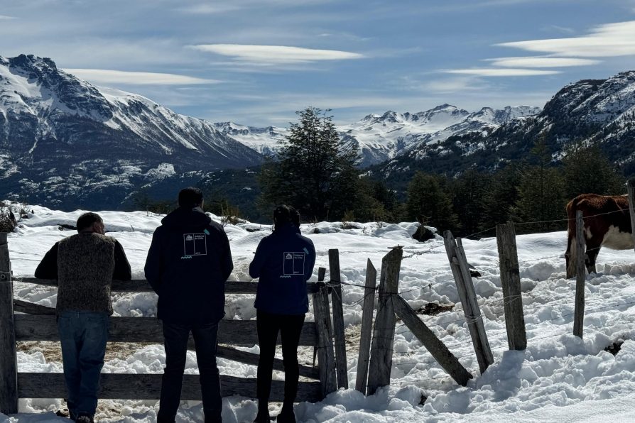 Gobierno decreta estado de emergencia agrícola en la provincia de Palena y comuna de Cochamó por nevazón