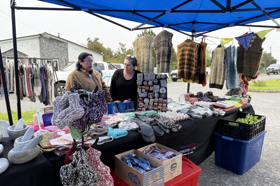 EXITOSA EXPO MUJERES REÚNE A EMPRENDEDORAS DE CHAITÉN EN EL MARCO DEL 25 DE NOVIEMBRE